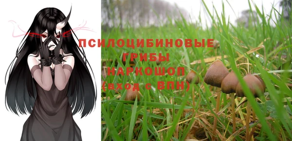 спайс Алексин