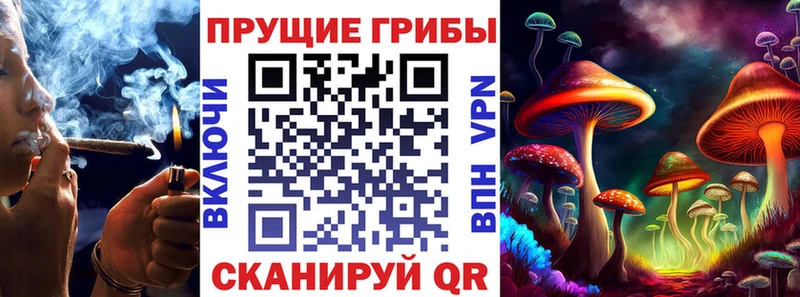 Галлюциногенные грибы GOLDEN TEACHER  купить наркоту  Приозерск 